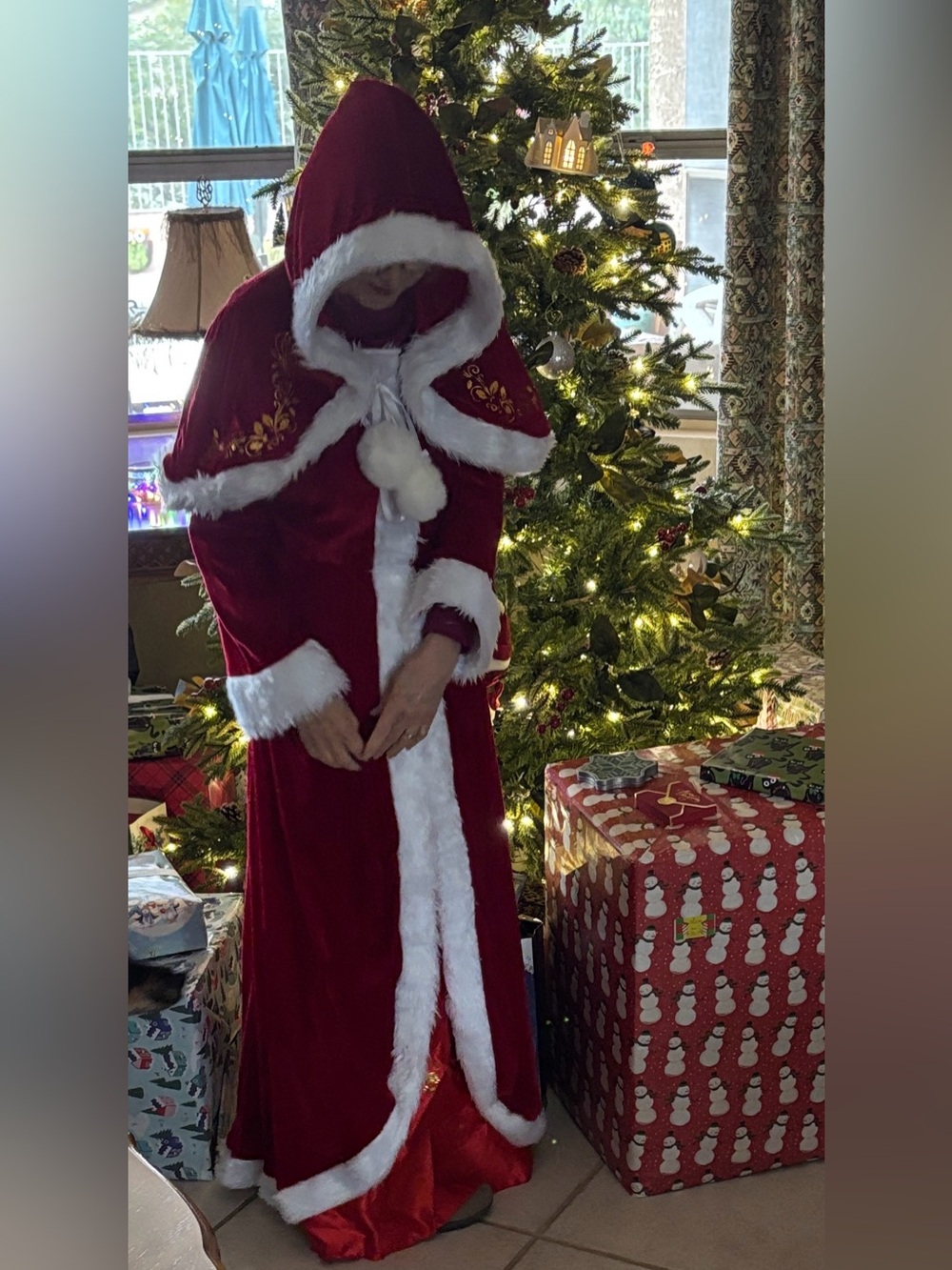 Elegant Red Holiday Dress and Hooded Cloak